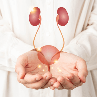Urology