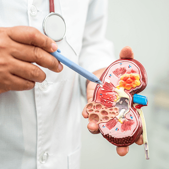 Nephrology